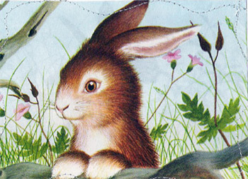 Bunni Goods Storybook Notecards