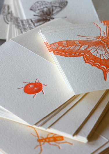 Dingbat Letterpress Butterflies and Bugs