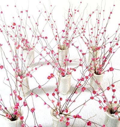 Origami Cherry Blossoms