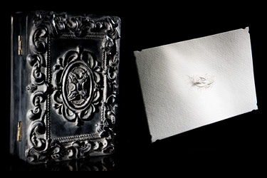 D.L. & Co. Calligraphy Dove Note Cards in a Black Resin Box
