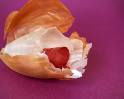 Jeffery Rudell Onion Valentine