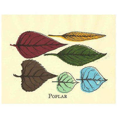 Poplar Leaves Gocco Print