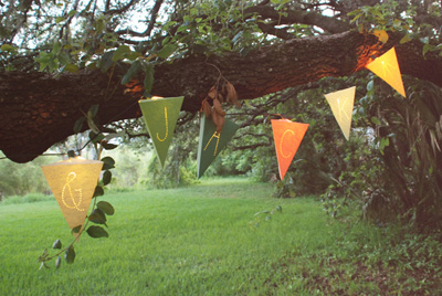 Anna Rifle Design Lighted Pennant