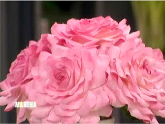 Martha Stewart Paper Rose Craft